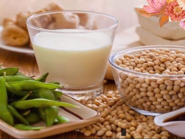 đậu nành tốt hay xấu đậu nành tốt hay xấu