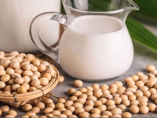 đậu nành tốt hay xấu đậu nành tốt hay xấu