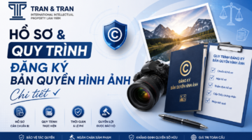 Đăng ký bản quyền hình ảnh: Hồ sơ và quy trình chi tiết